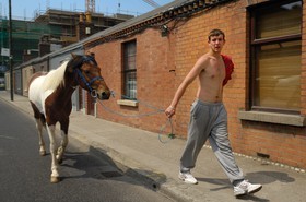 Irlande, Dublin, homme dans une rue des faubourgs avec son cheval  Republic of Ireland, County Dublin, Dublin, man in a street of the suburbs with his horse