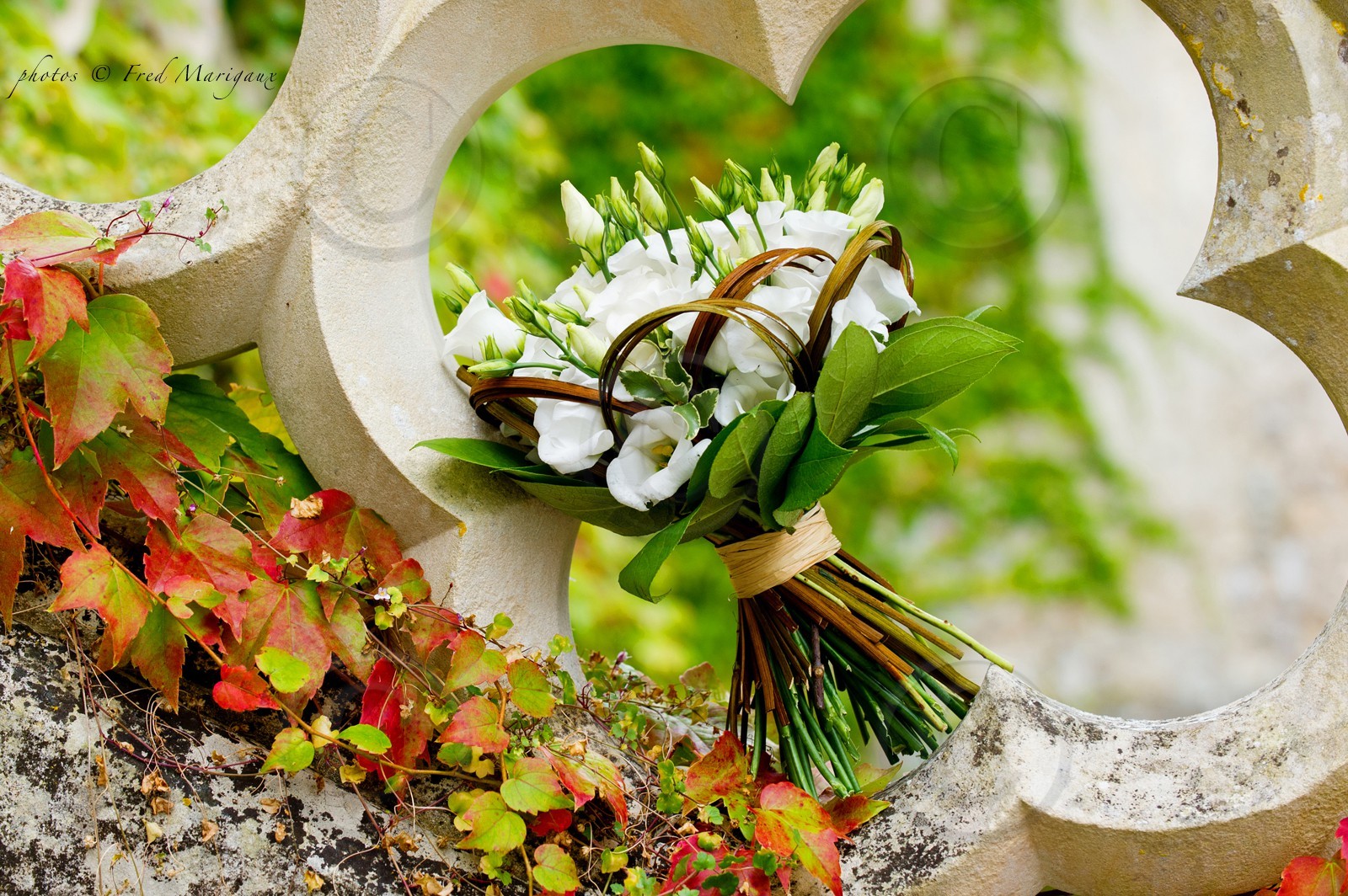 FRED MARIGAUX_15.jpg