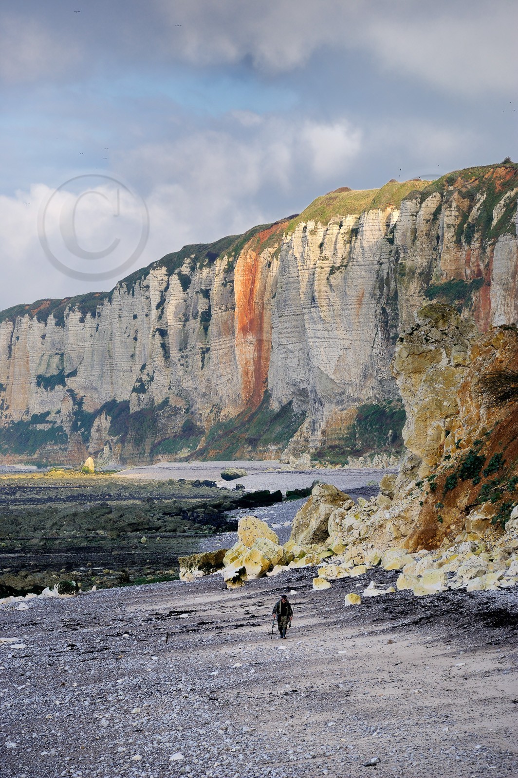 France, Seine-Maritime (76), Côte d'Albâtre, Yport, un pêcheur marchant sur la plage à marée basse au pied des falaises  France, Seine-Maritime, Cote d'Albatre, Yport, a fisherman walking on the beach at low tide under the cliffs