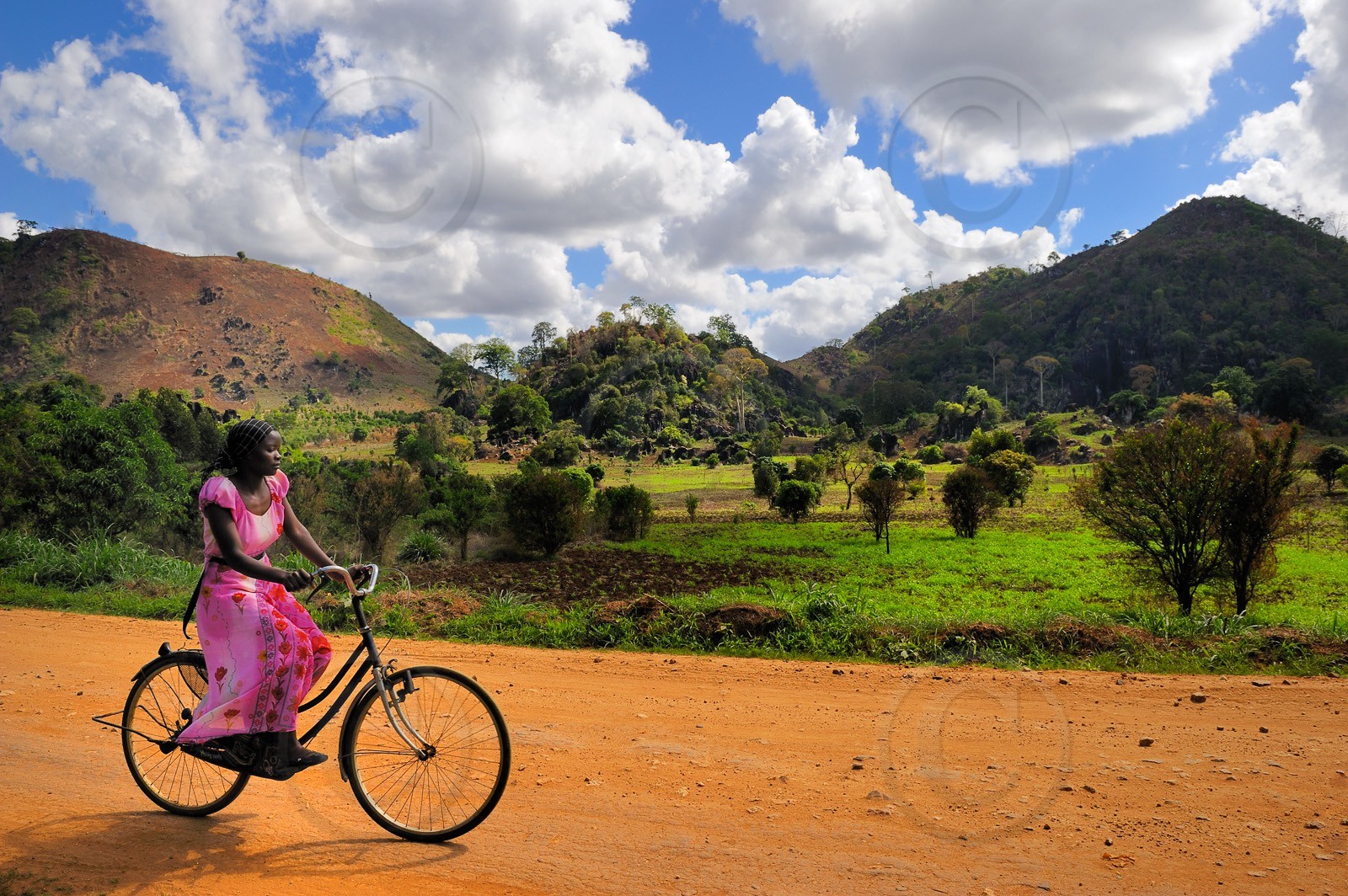 Tanzanie, région de Morogoro, les Monts Uluguru, cycliste sur la piste de Matombo    Tanzania, Morogoro district, Uluguru mountains, cycliste on the Matombo track