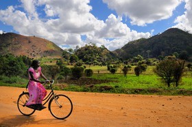 Tanzanie, région de Morogoro, les Monts Uluguru, cycliste sur la piste de Matombo    Tanzania, Morogoro district, Uluguru mountains, cycliste on the Matombo track