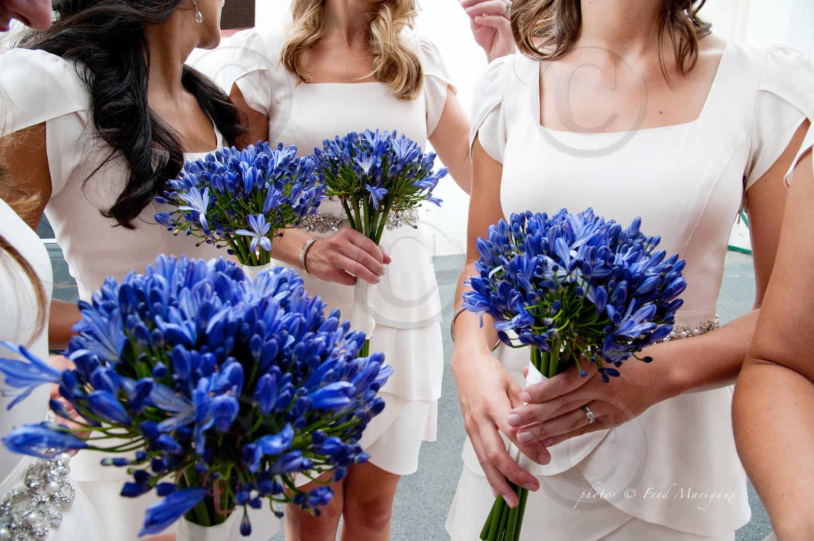 FRED MARIGAUX_33.jpg