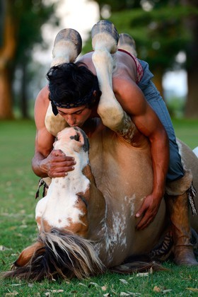 Argentine, province de Buenos Aires, San Antonio de Areco, estancia La Bamba de Areco, demonstration du savoir-faire d'un cavalier amerindien avec son cheval, le baiser au cheval  Argentina, Buenos Aires Province, San Antonio de Areco, estancia La Bamba de Areco, demonstration of the skills of an Amerindian rider with his horse, the kiss to the horse